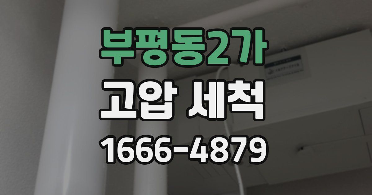 부평동2가 고압 세척