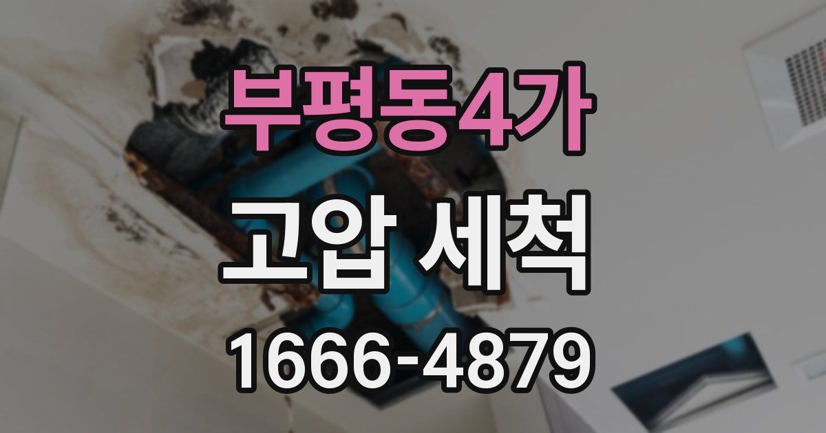 부평동4가 고압 세척