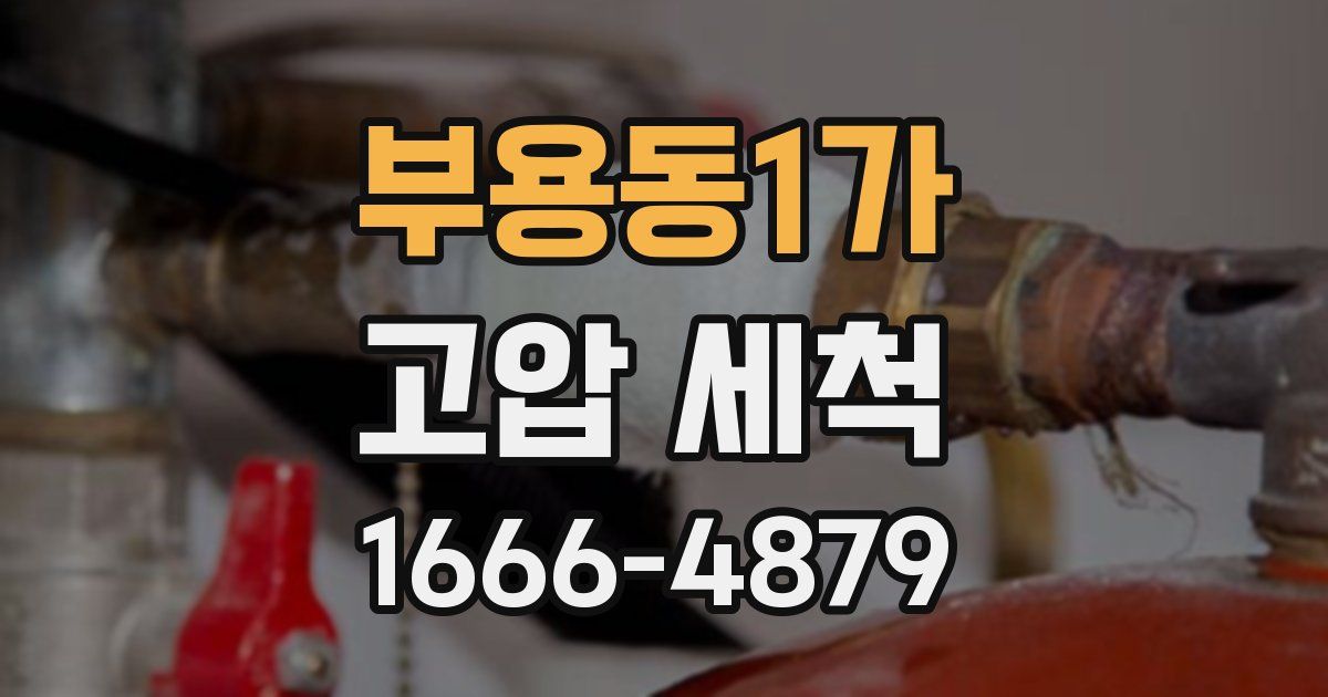 부용동1가 고압 세척