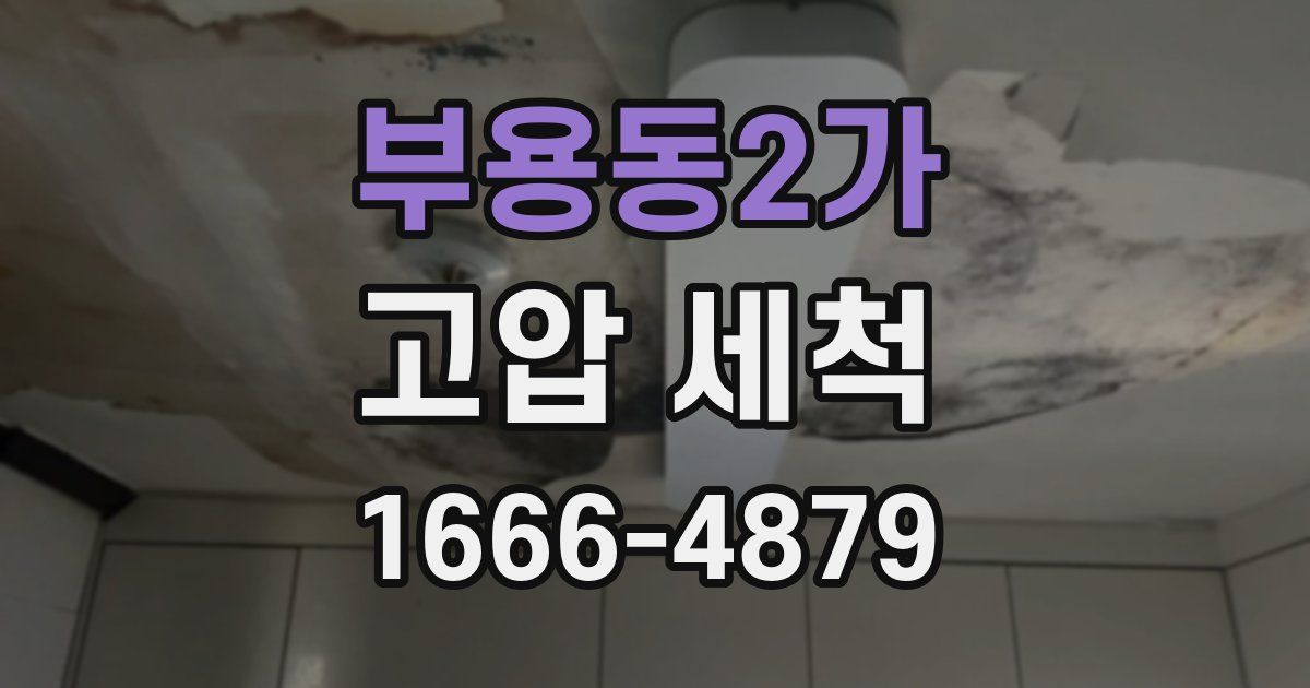 부용동2가 고압 세척