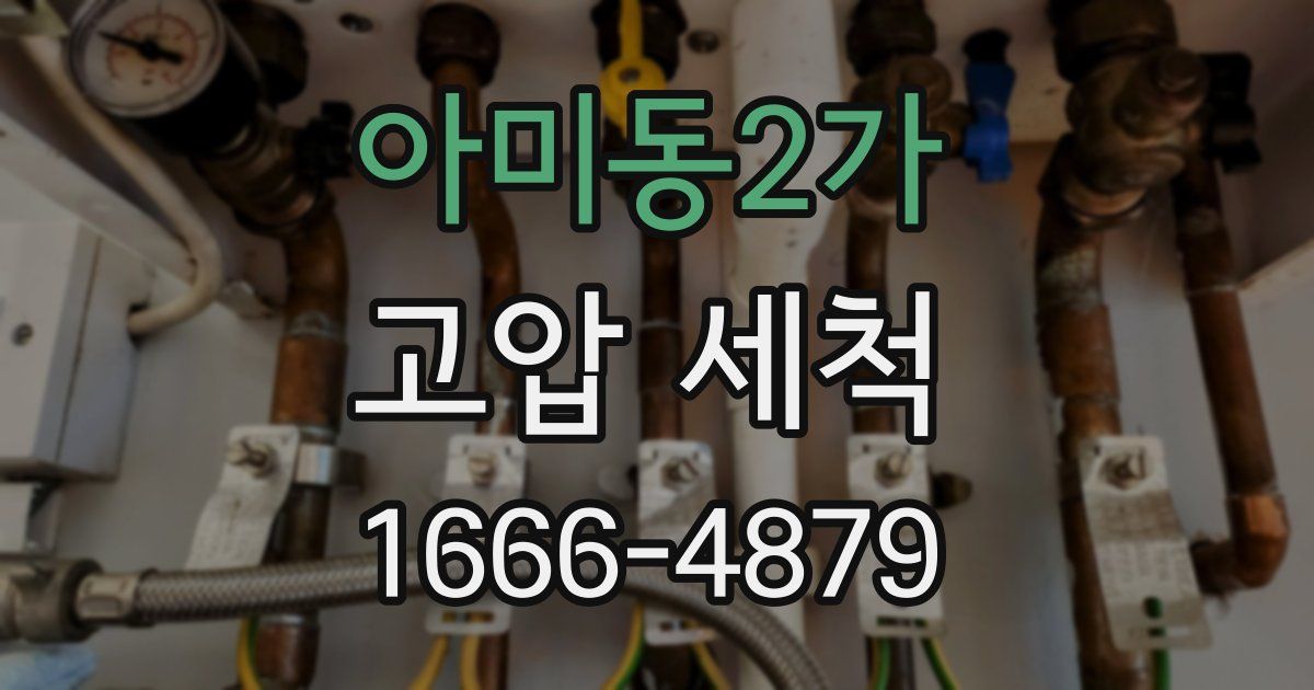 아미동2가 고압 세척