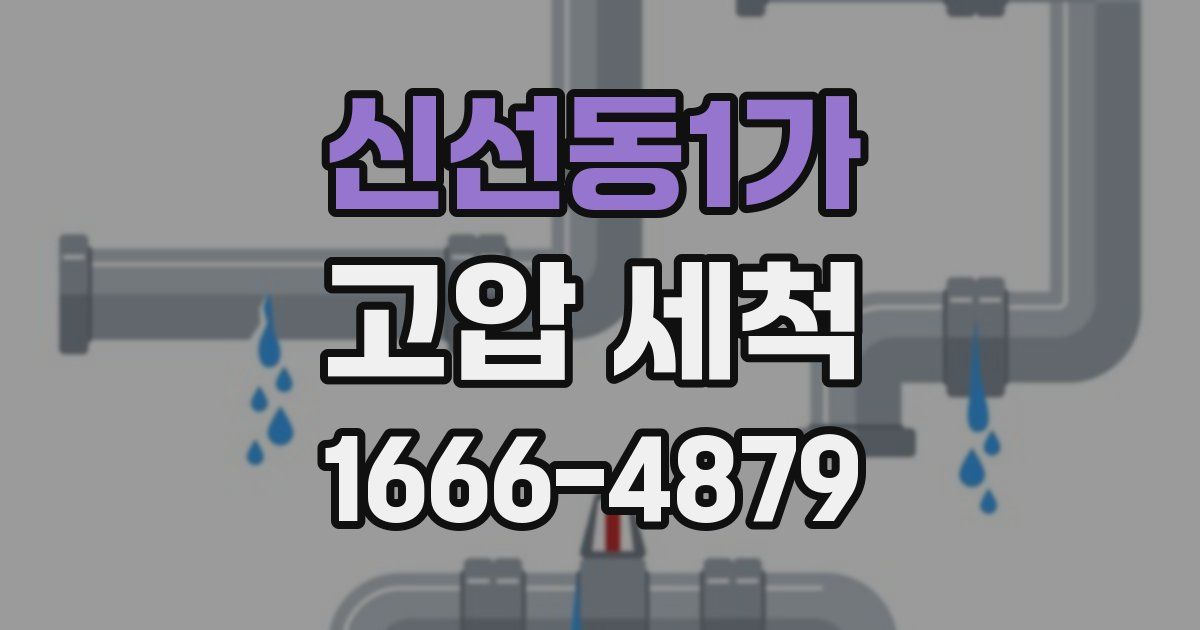 신선동1가 고압 세척