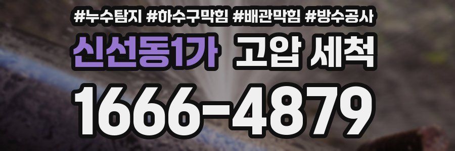 신선동1가 고압 세척