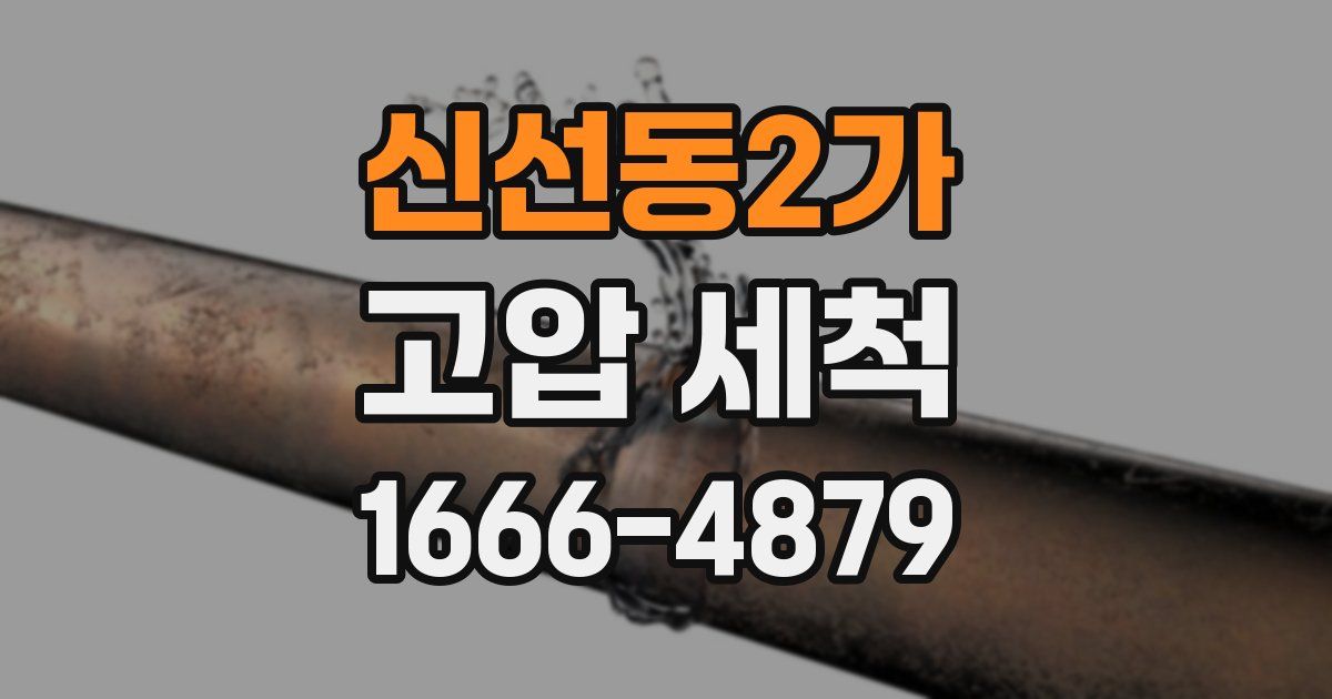신선동2가 고압 세척
