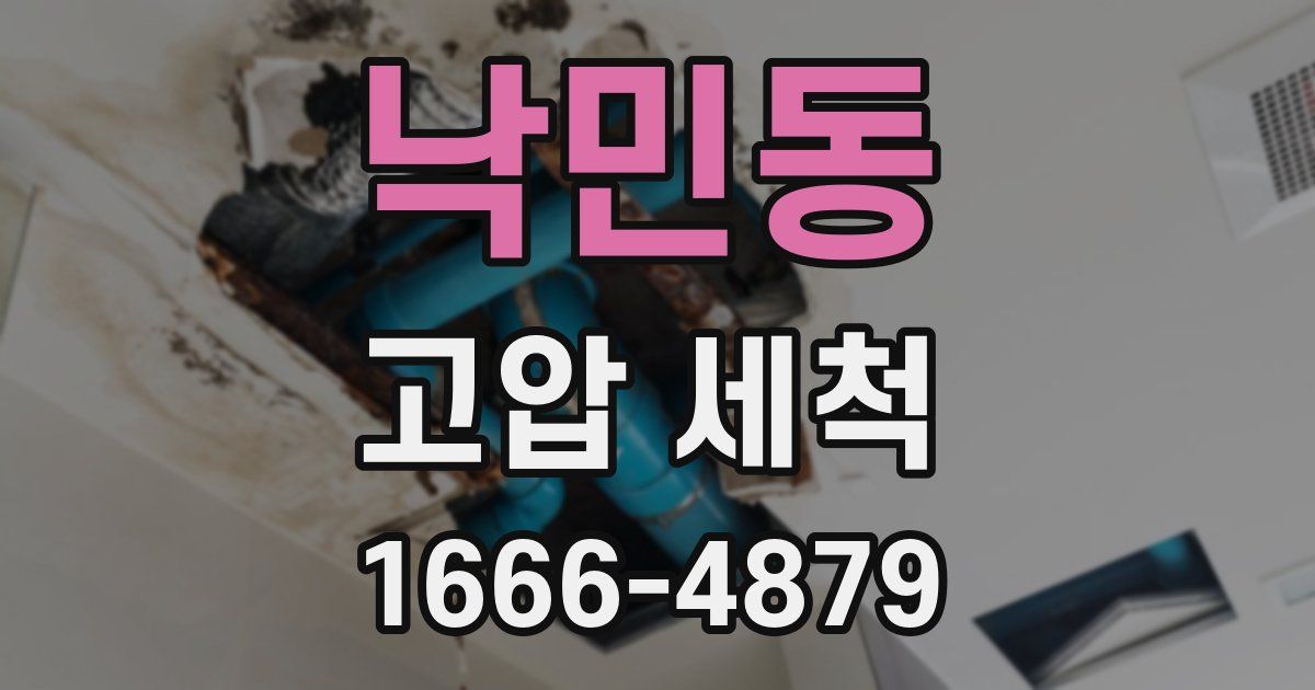 낙민동 고압 세척