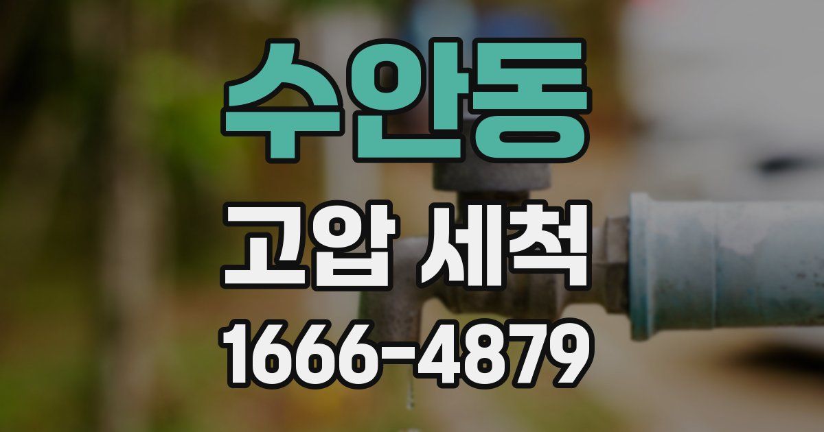 수안동 고압 세척