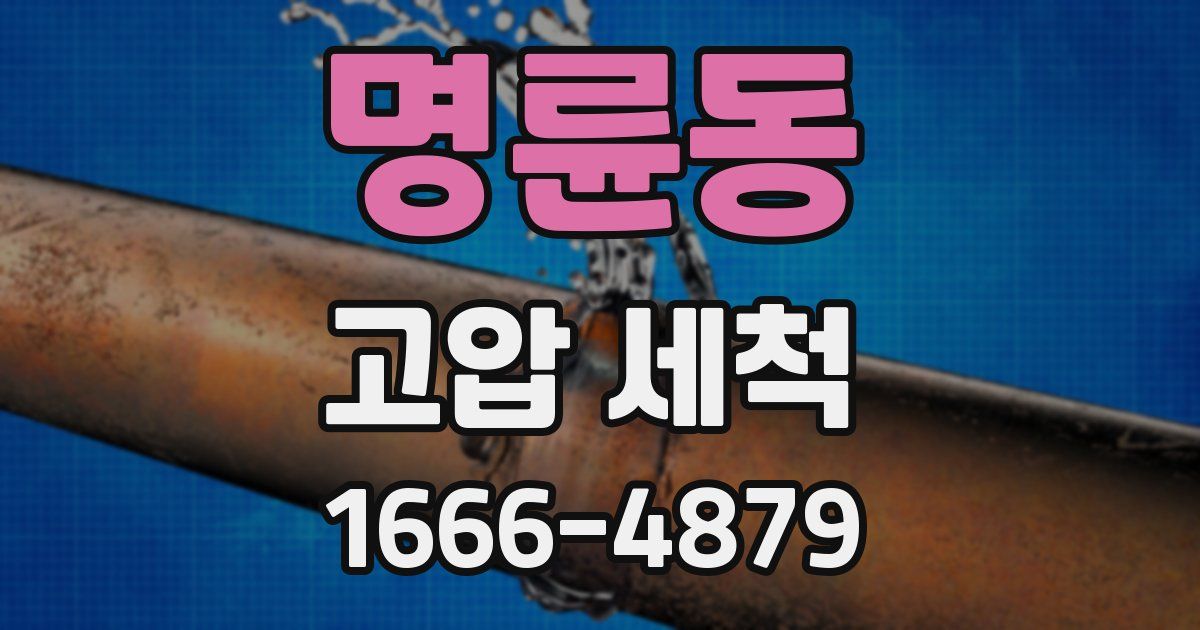 명륜동 고압 세척