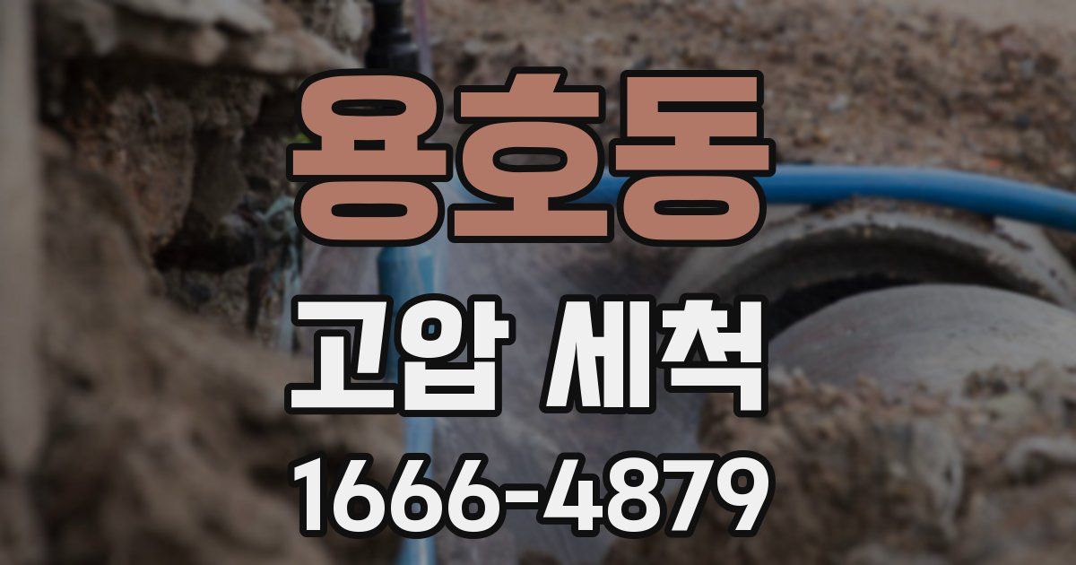 용호동 고압 세척