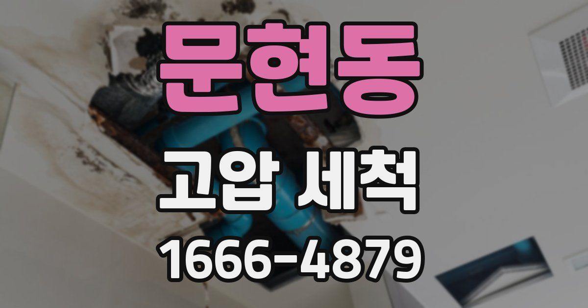 문현동 고압 세척