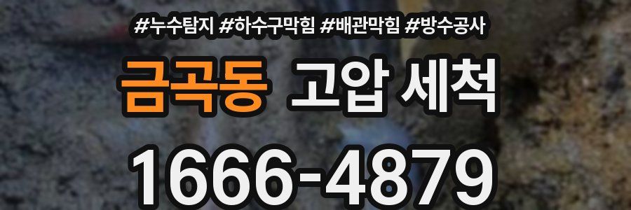 금곡동 고압 세척