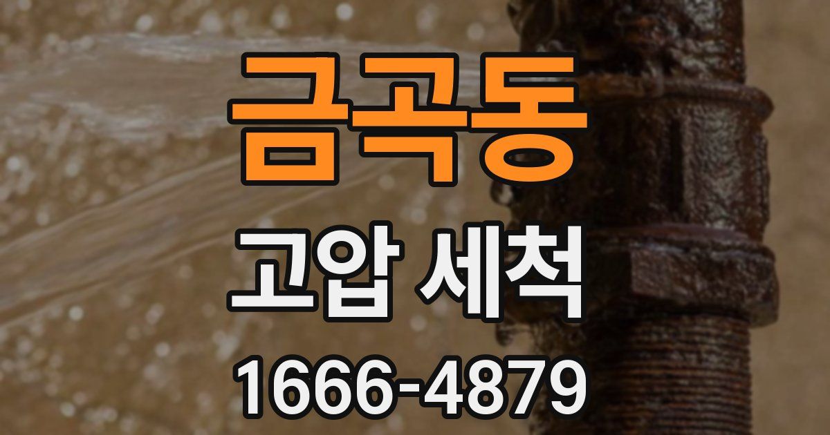 금곡동 고압 세척