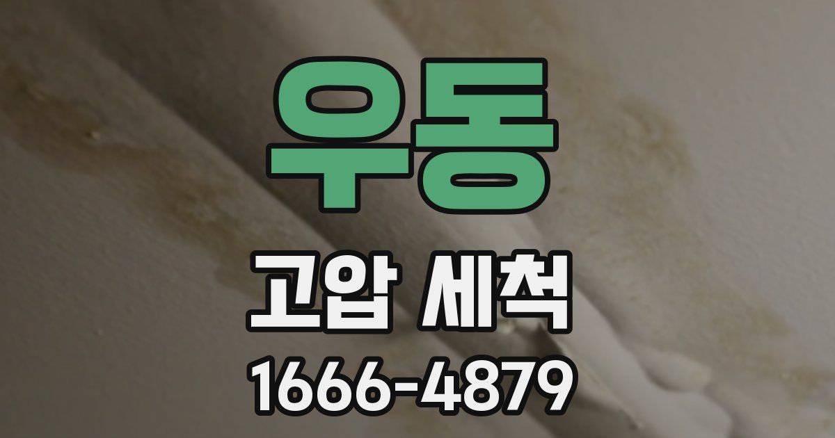 우동 고압 세척