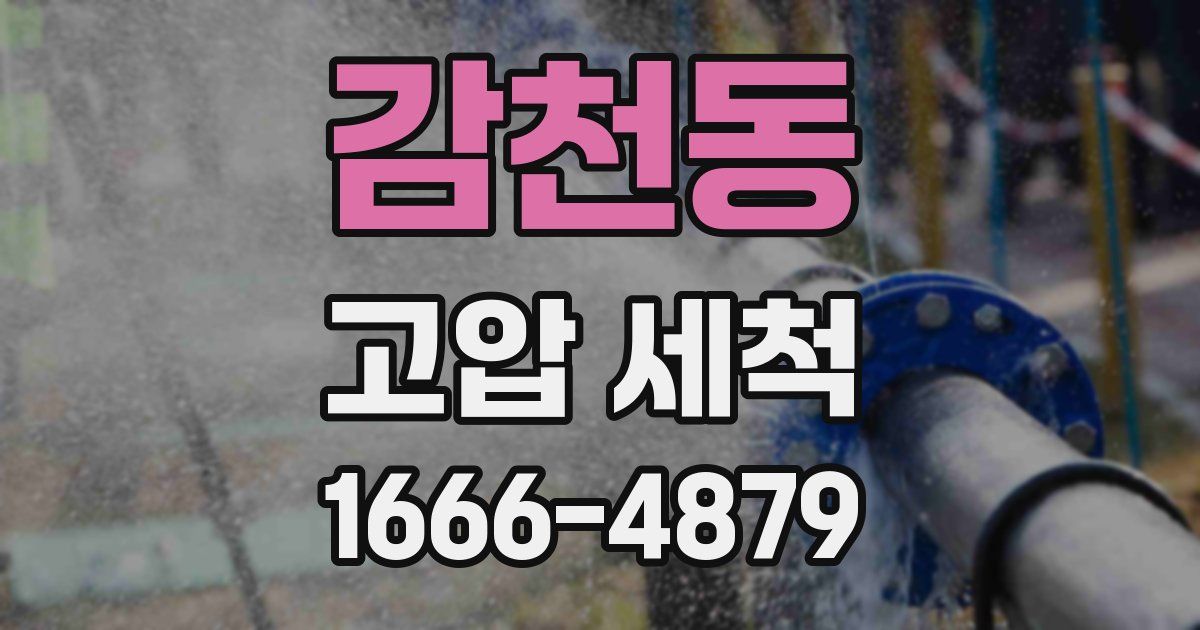 감천동 고압 세척