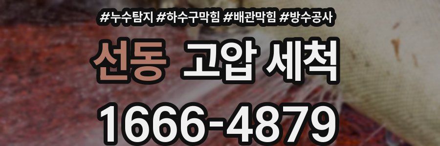 선동 고압 세척