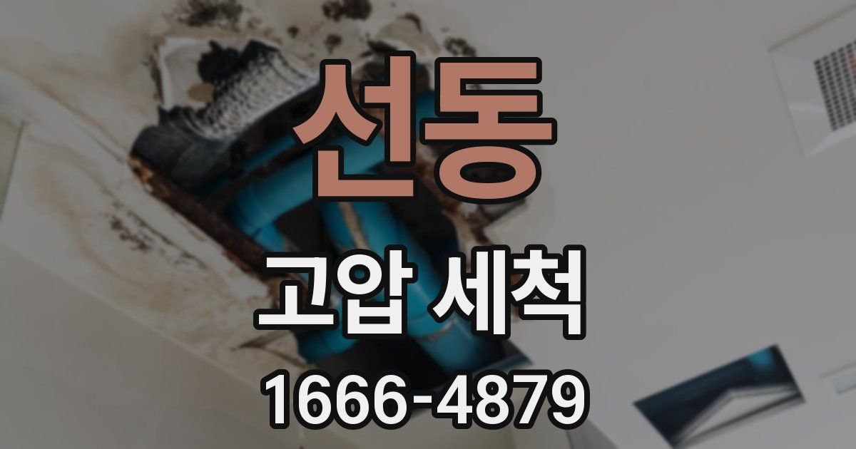 선동 고압 세척