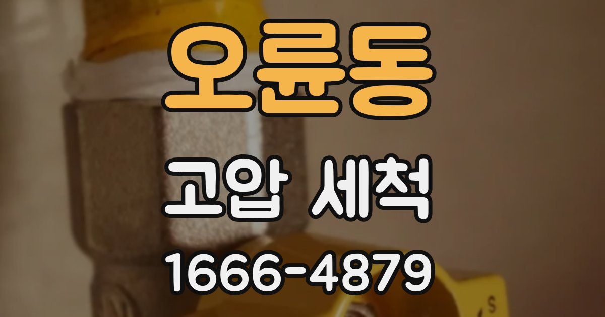 오륜동 고압 세척