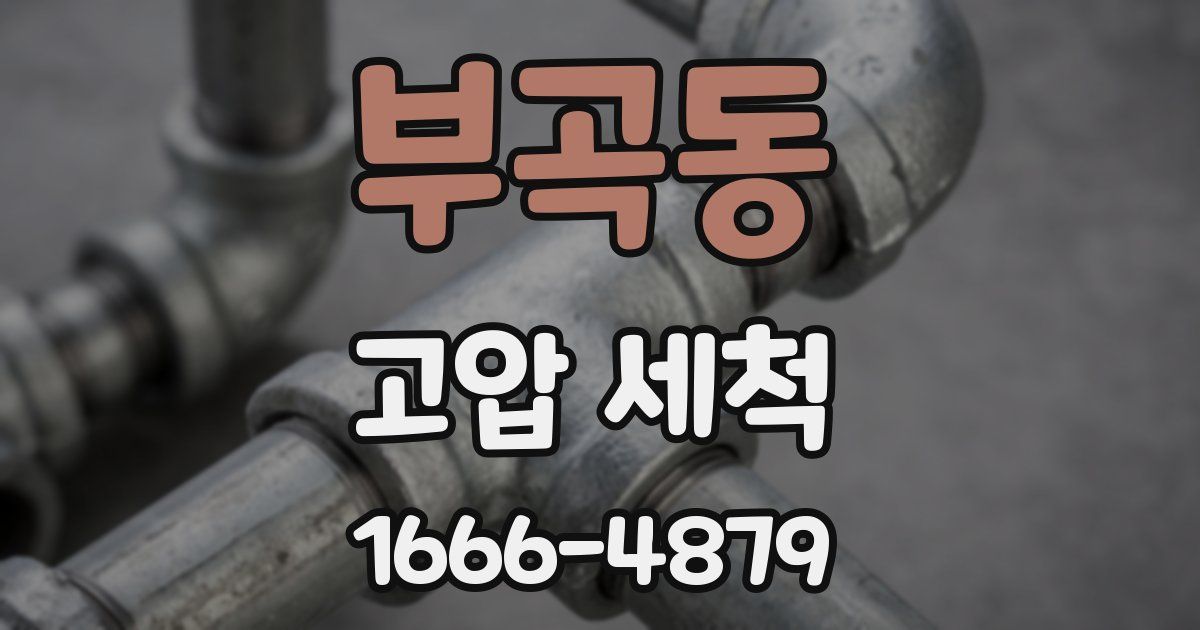 부곡동 고압 세척