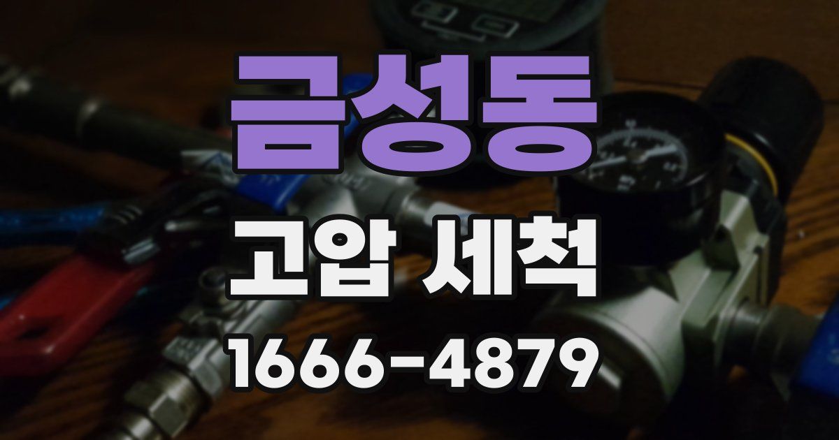 금성동 고압 세척