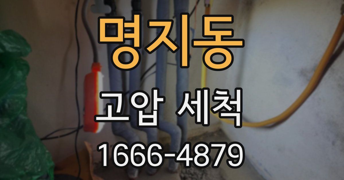 명지동 고압 세척