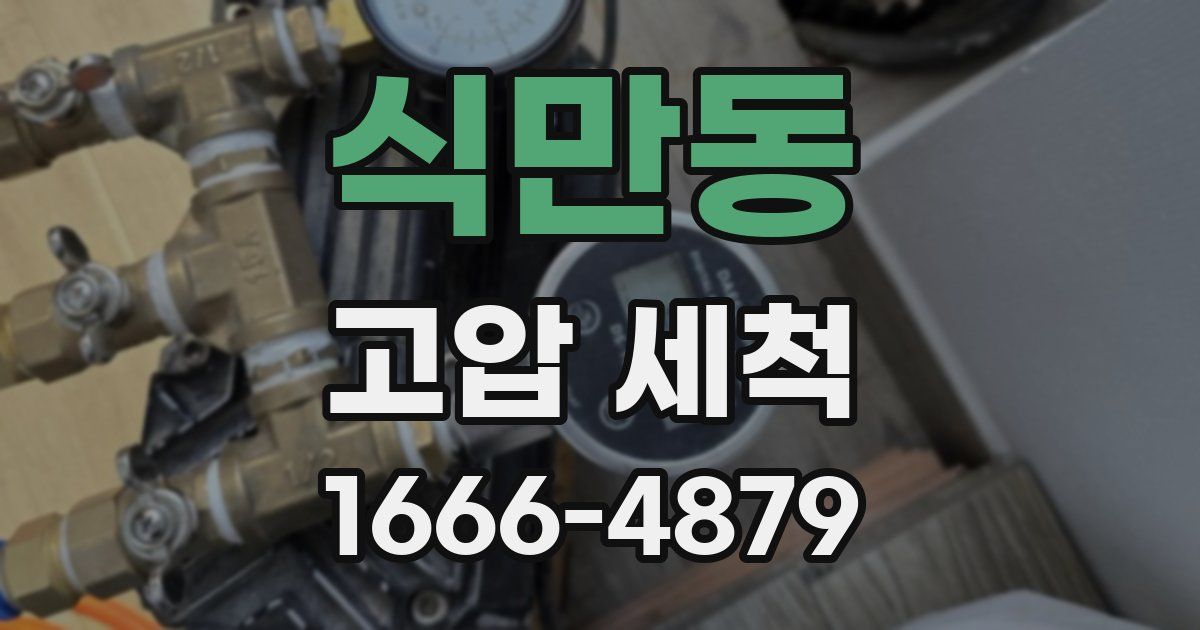 식만동 고압 세척