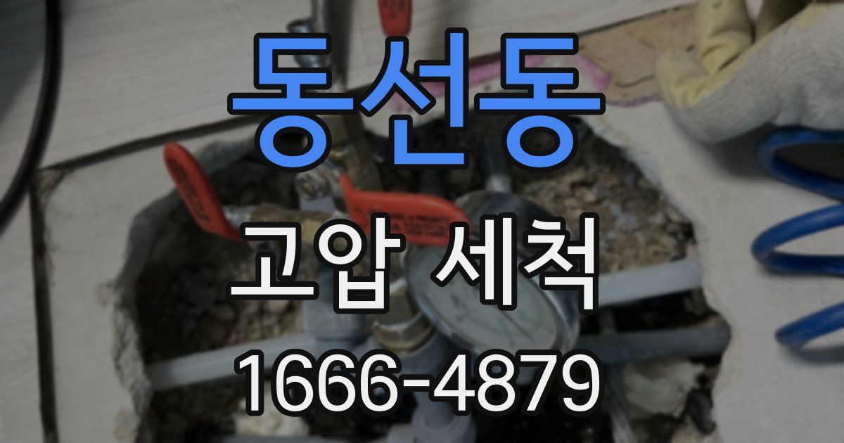 동선동 고압 세척