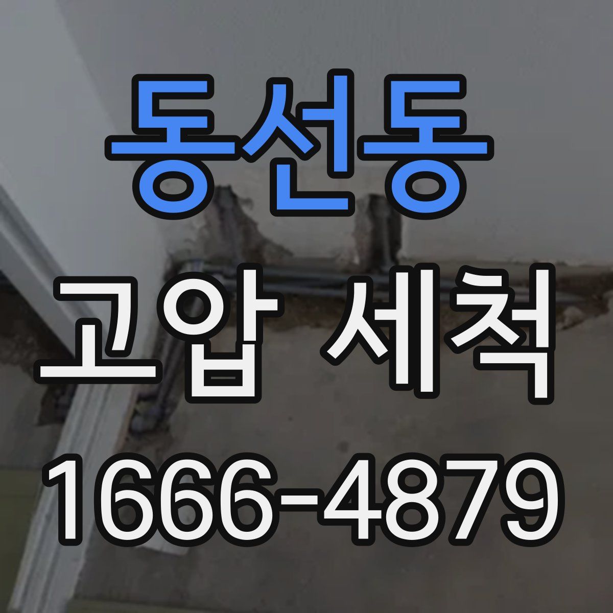 동선동 고압 세척