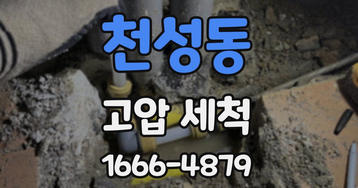 천성동 고압 세척