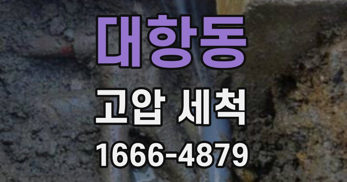 대항동 고압 세척