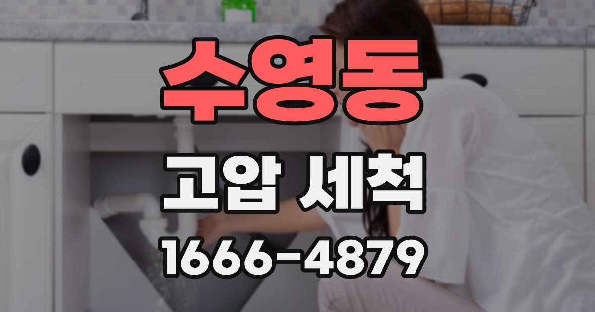 수영동 고압 세척