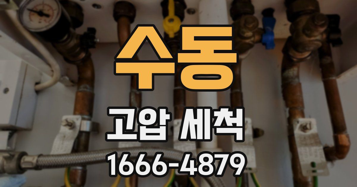 수동 고압 세척