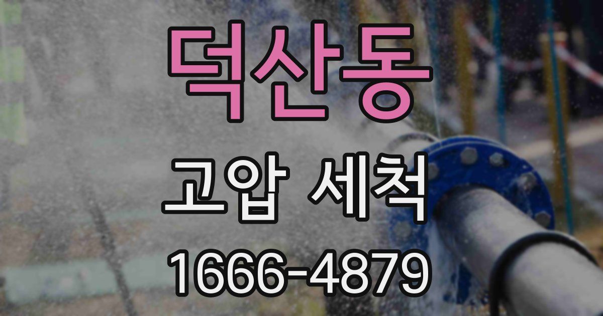 덕산동 고압 세척