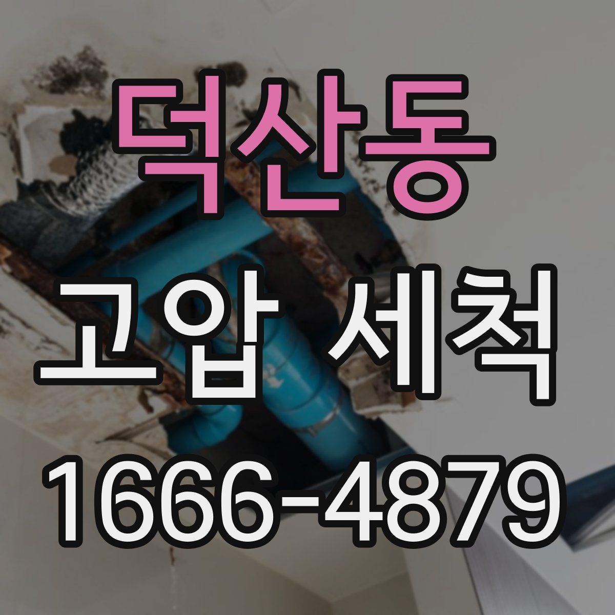 덕산동 고압 세척