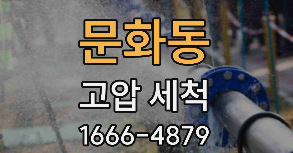 문화동 고압 세척
