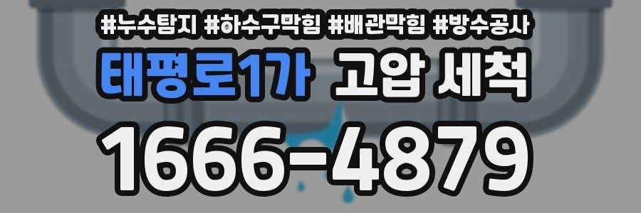 태평로1가 고압 세척