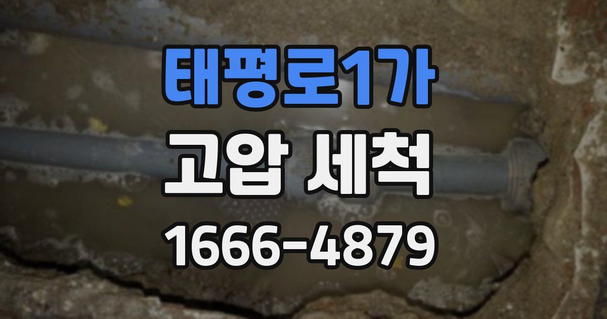 태평로1가 고압 세척