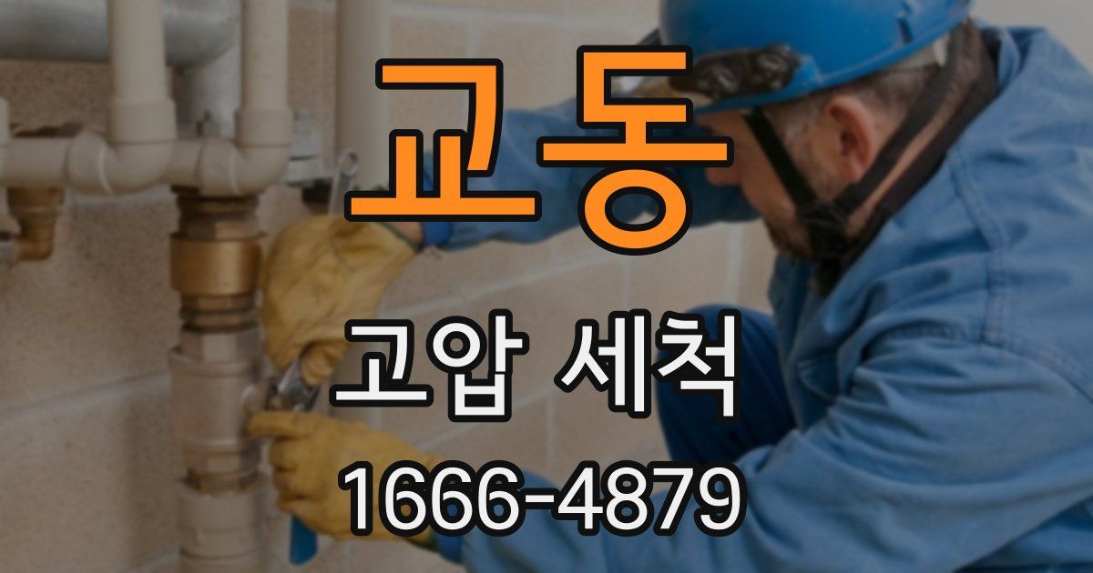 교동 고압 세척
