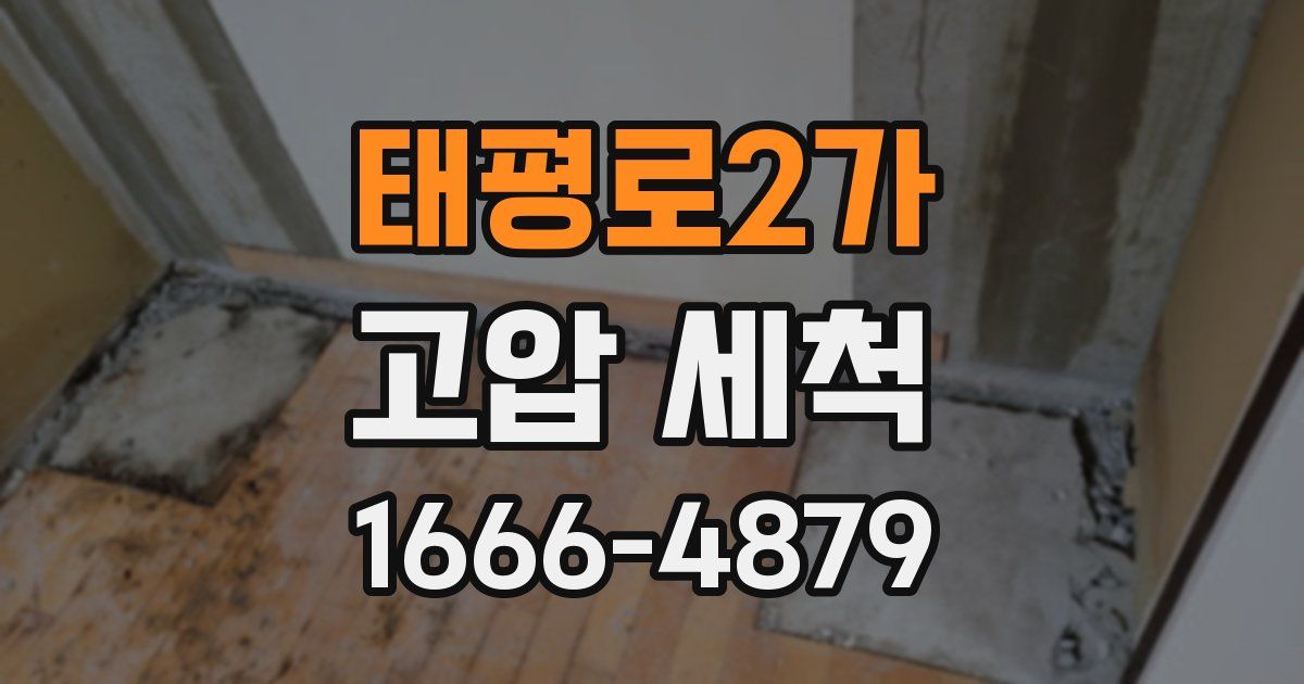 태평로2가 고압 세척