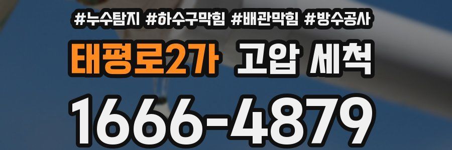 태평로2가 고압 세척