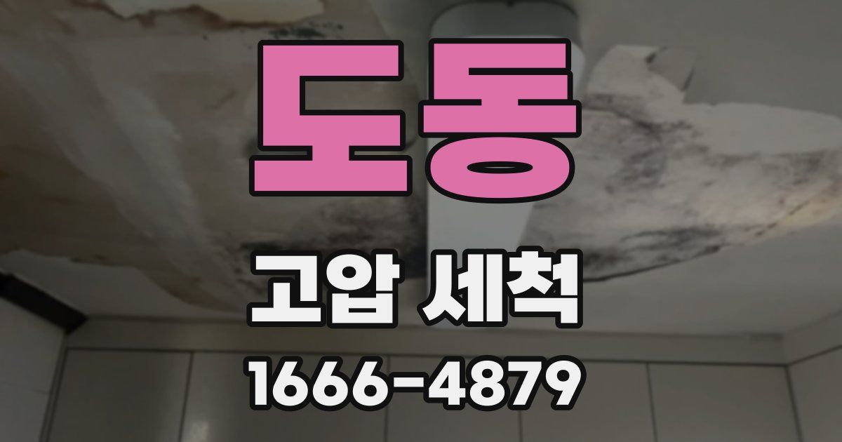 도동 고압 세척