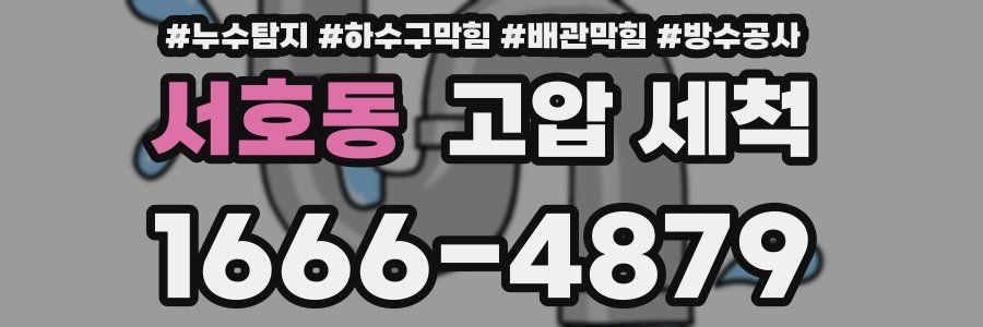 서호동 고압 세척