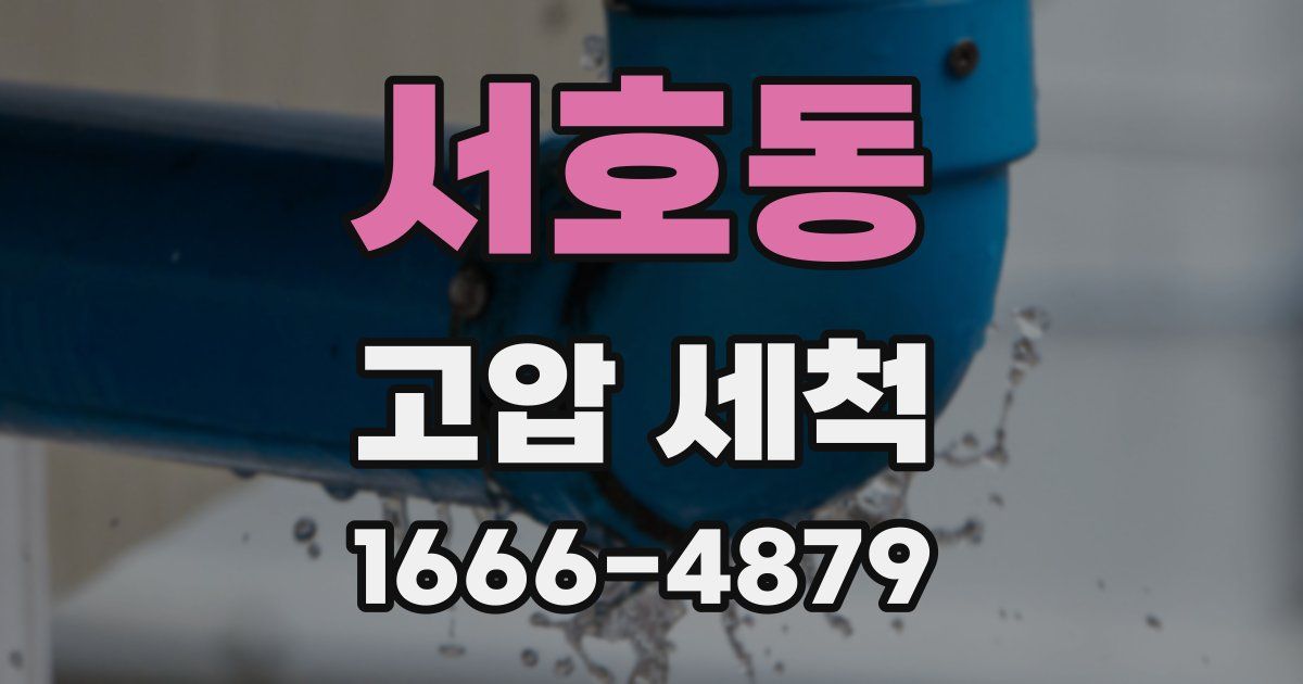 서호동 고압 세척