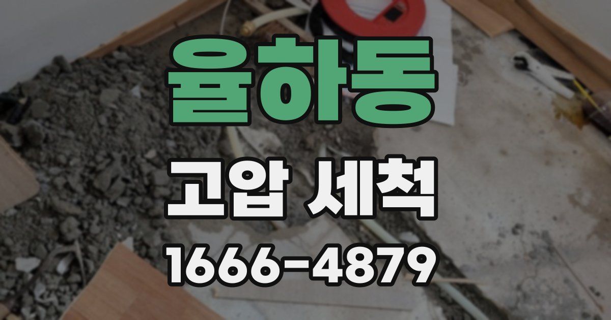 율하동 고압 세척