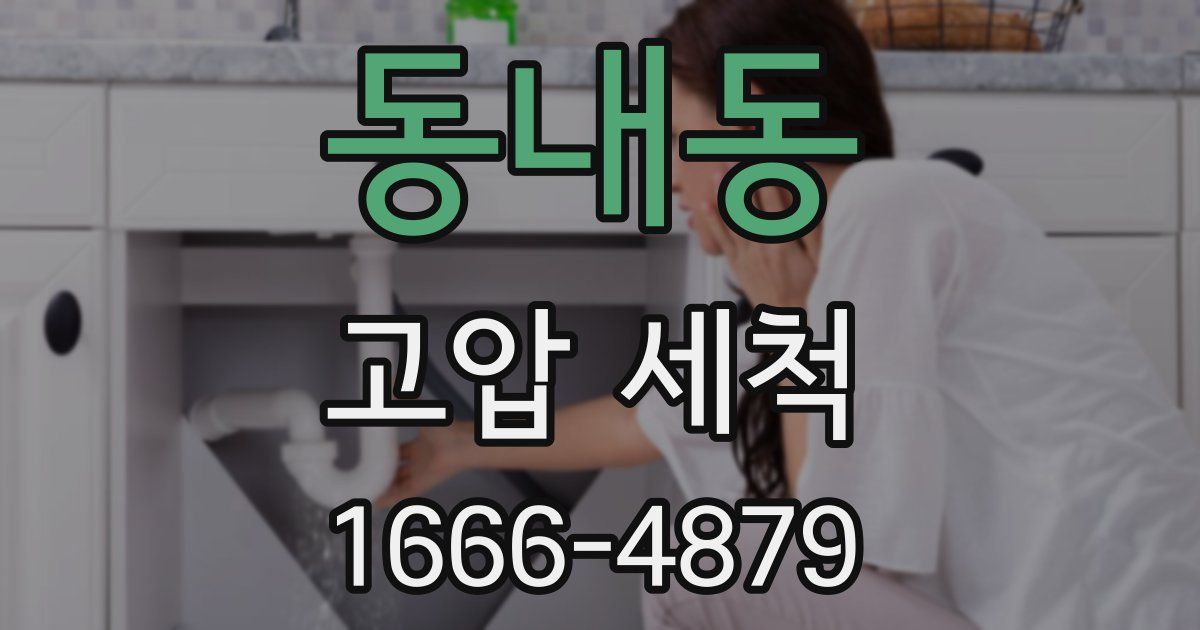 동내동 고압 세척
