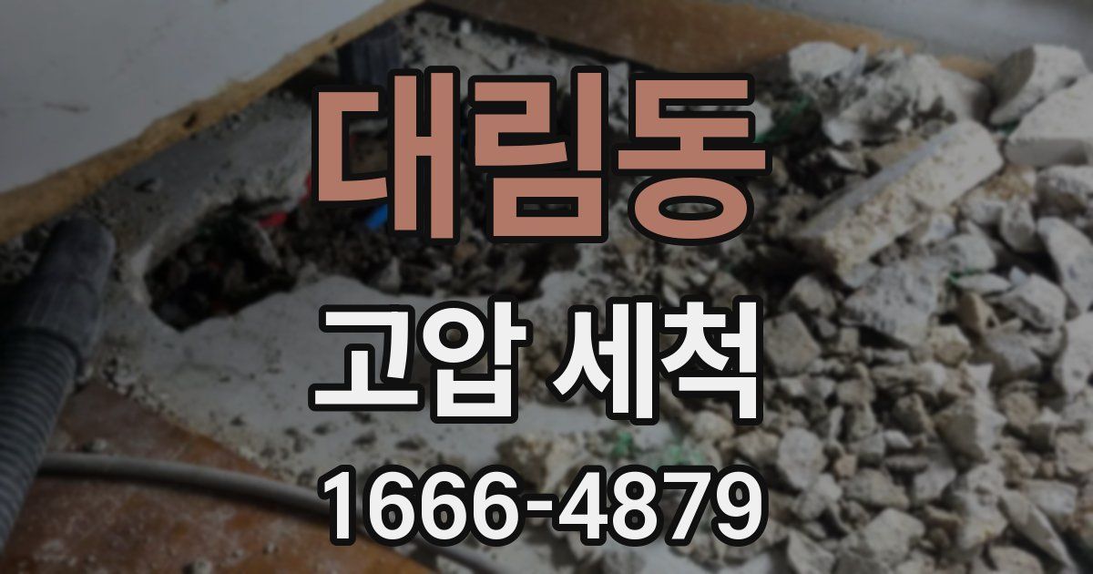 대림동 고압 세척