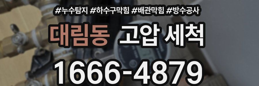 대림동 고압 세척
