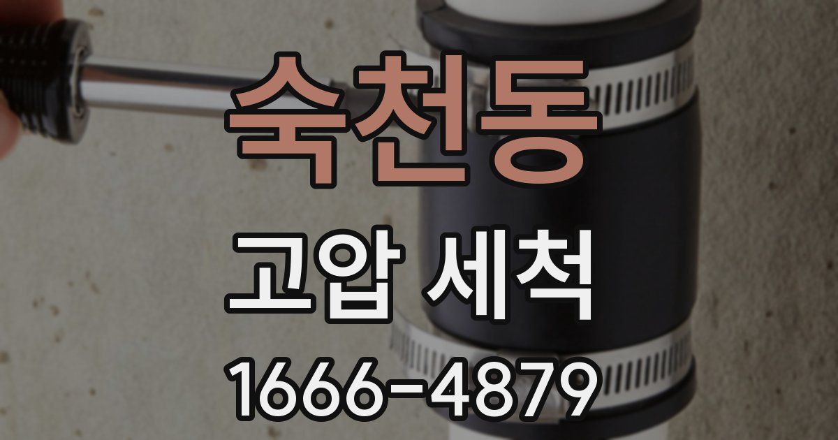 숙천동 고압 세척