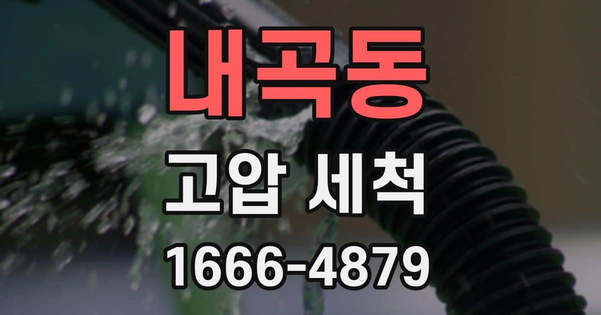 내곡동 고압 세척