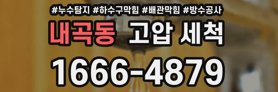 내곡동 고압 세척