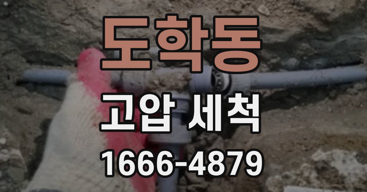 도학동 고압 세척