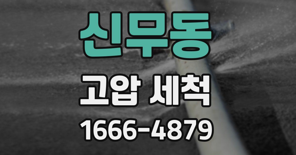 신무동 고압 세척